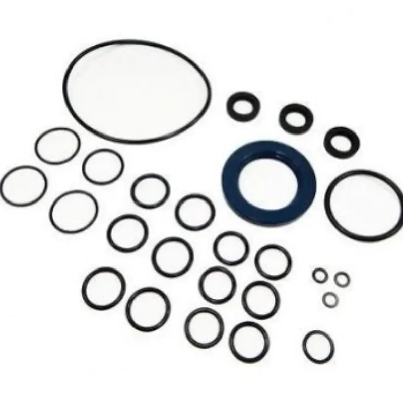 KIT TENUTE OLIO POMPA FW-HW COMET 5019004400