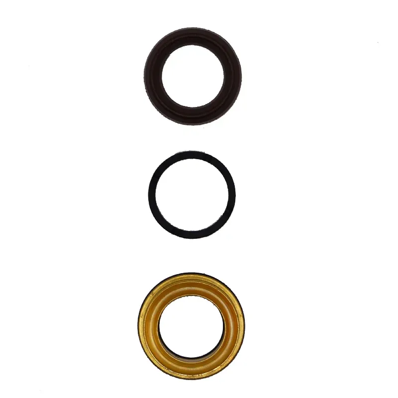 Kit 140 tenute D.18 - Biemmedue Interpump Kit 140 tenute D.18 - Biemmedue Interpump