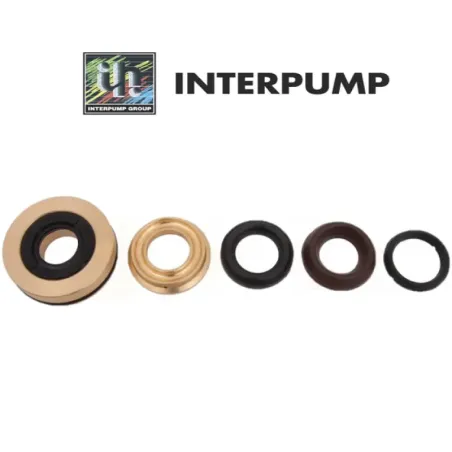 Kit 82 tenute pistone D.20 per serie WS153 - Interpump