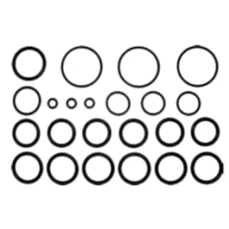 Kit ricambi Oring per Blitz - A.R.