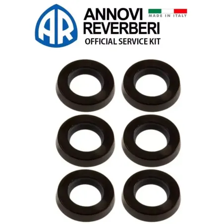 Kit guarnizioni serie 284 per pompe serie RM - A.R.