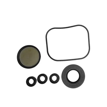 KIT TENUTE OLIO D.121 SERIE 414 A.R. 43480