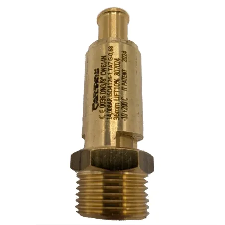 Valvola di sicurezza 3/8" T14 FNA