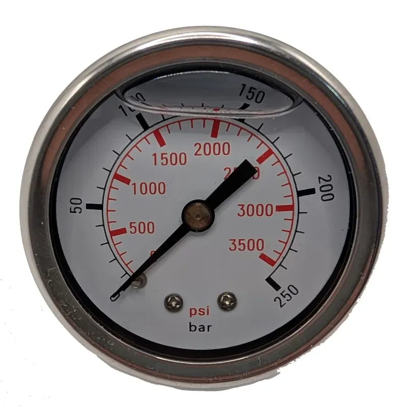 Manometro inox d.52 250 bar MTM