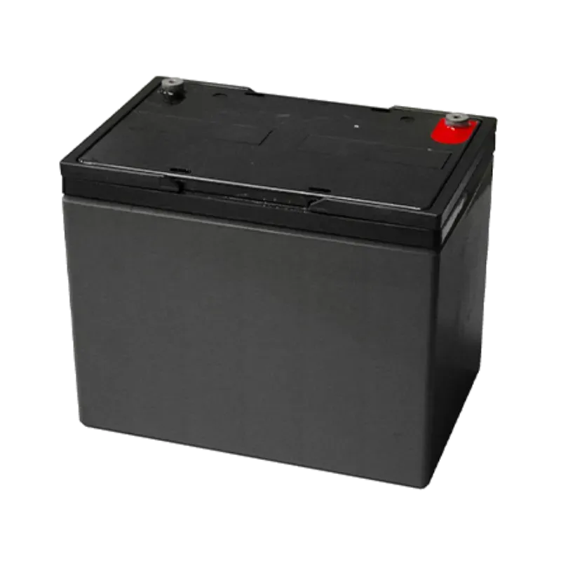 Lavor - Batteria DART 36B 12V 00055-00098 Lavor - Batteria DART 36B 12V 00055-00098