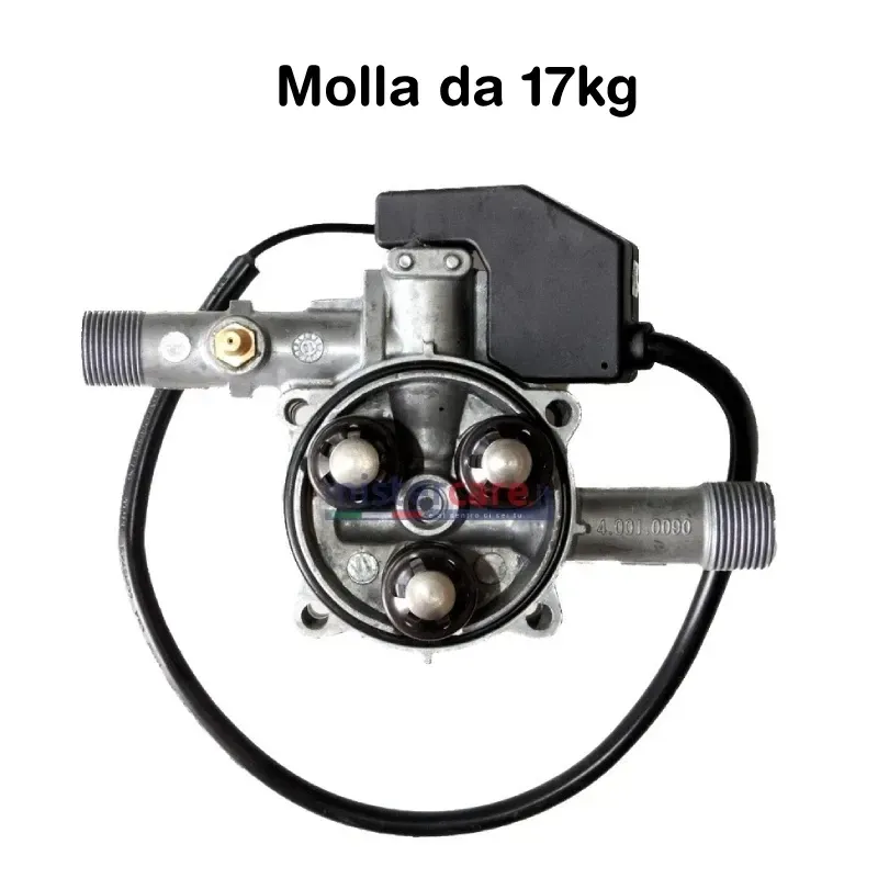 Lavorwash - Corpo guida pistone completo molla 17kg + testata idropulitrici 5.009.1169C