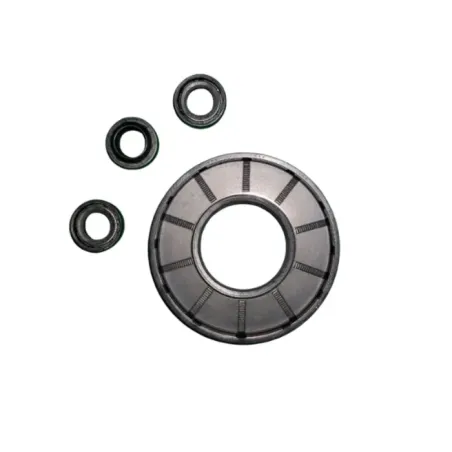 Kit tenute olio per idropulitrici con pompa serie RM RMV A.R.