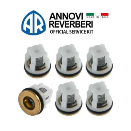 Kit ricambio valvole idropulitrice per pompe serie 134
