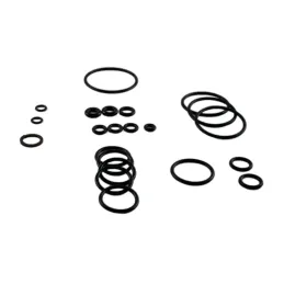 Kit ricambi Oring per idropulitrice pompe serie 134 Annovi Reverberi