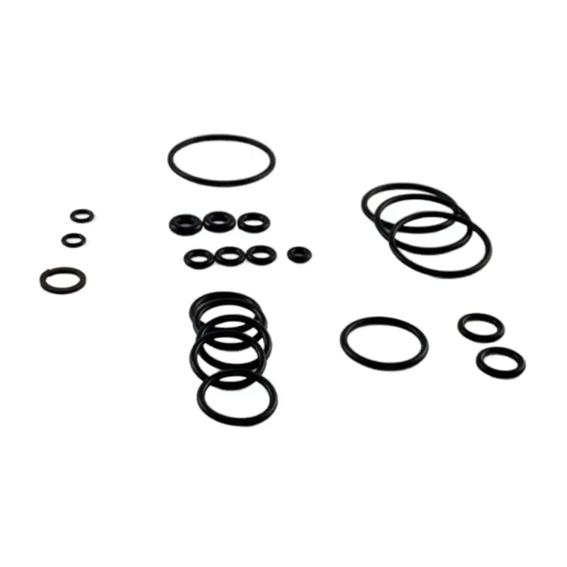 Kit ricambi Oring per idropulitrice pompe serie 134 Annovi Reverberi