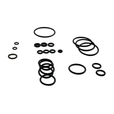 Kit ricambi Oring per idropulitrice pompe serie 134 Annovi Reverberi