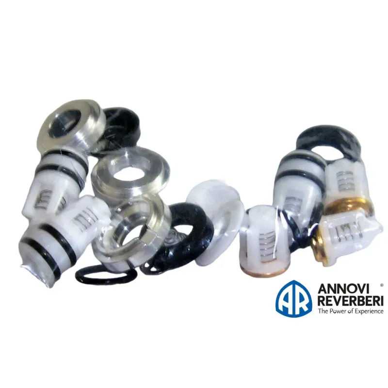 Kit Valvole Tenute Acqua O-Ring Annovi Reverberi 4102110 Originale
