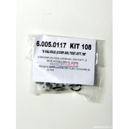 Lavorwash - Kit 108 (kit valvole aspirazione/mandata per pompa "Lavor" Serie LWM - LWT) - 6.005.0117