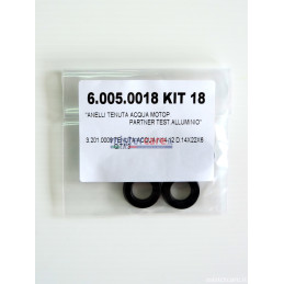 Lavorwash Kit 18 - Kit guarnizioni/tenute acqua D.14 per idropulitrici (14 x 22 x 6 mm)