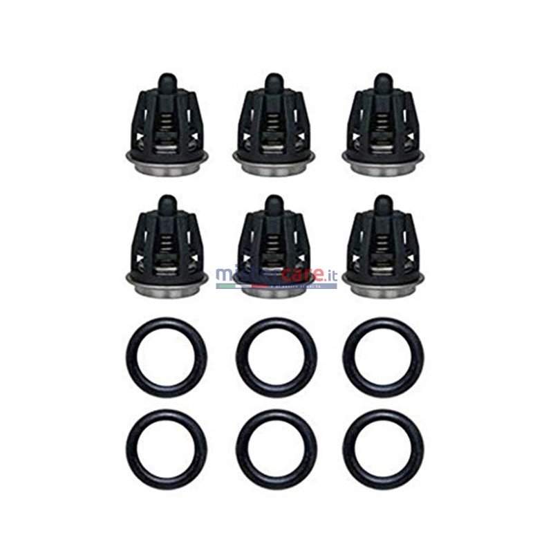 Interpump KIT 1 - KIT 1 Valvole aspirazione/mandata POMPA 34000101