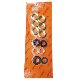HAWK - Kit completo guarnizioni + bronzine Ø20
